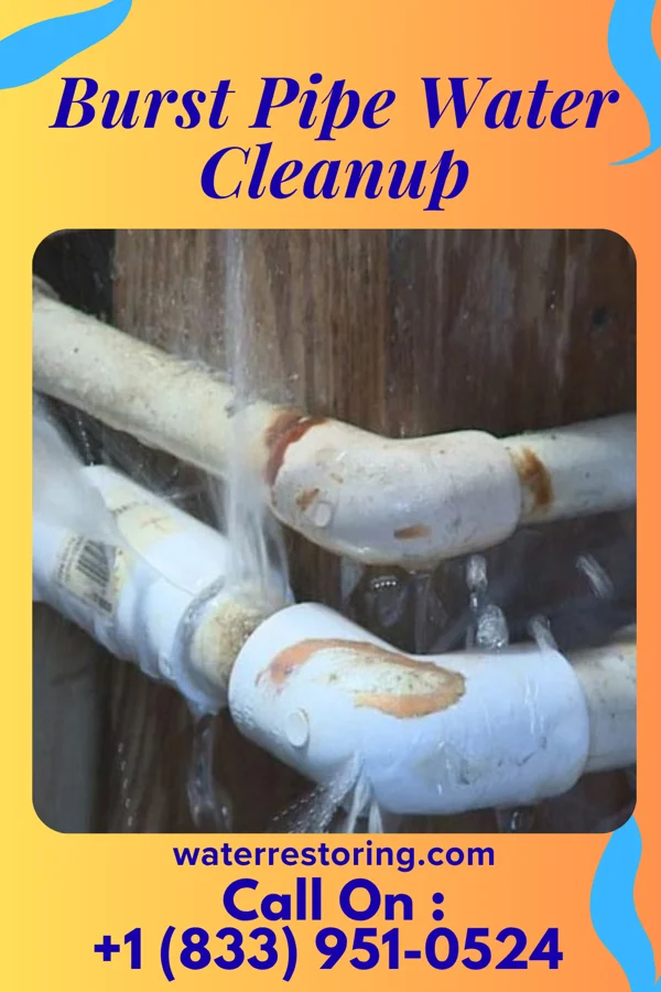 Burst Pipe Water Cleanup in Kaanapali, HI