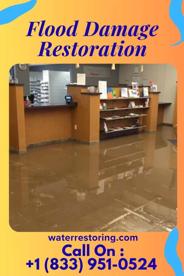 Flood Damage Restoration in Kaanapali, HI