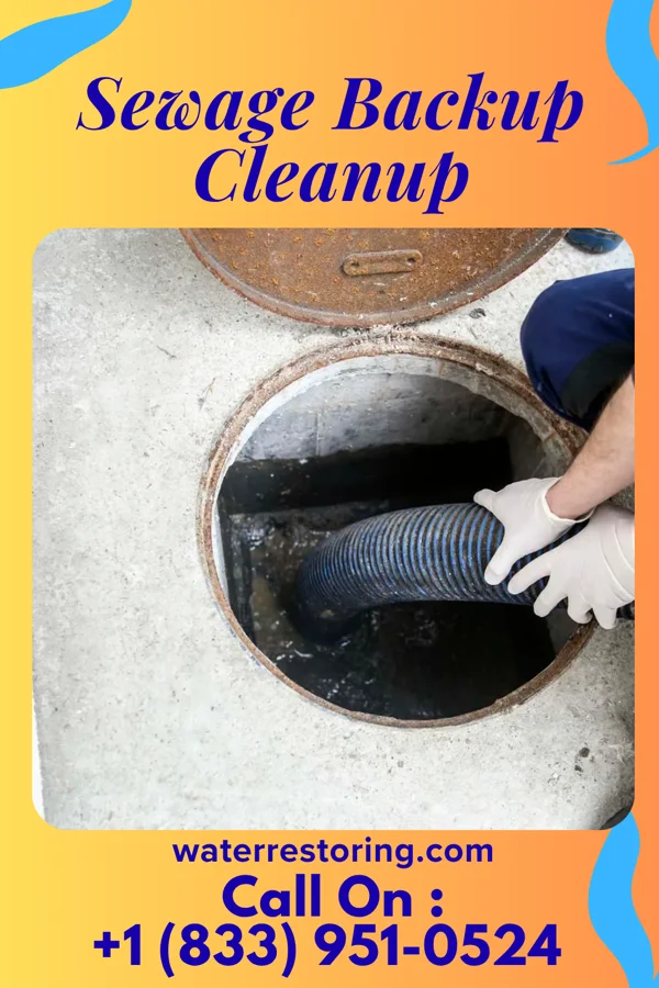 Sewage Backup Cleanup in Kaanapali, HI
