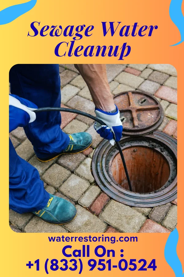 Sewage Water Cleanup in Kaanapali, HI